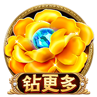 星空足球入口桌面版客户端